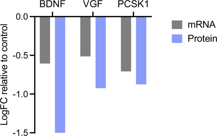 Figure 6—figure supplement 1.