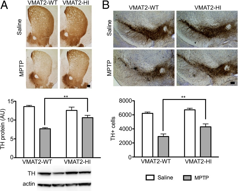 Fig. 6.