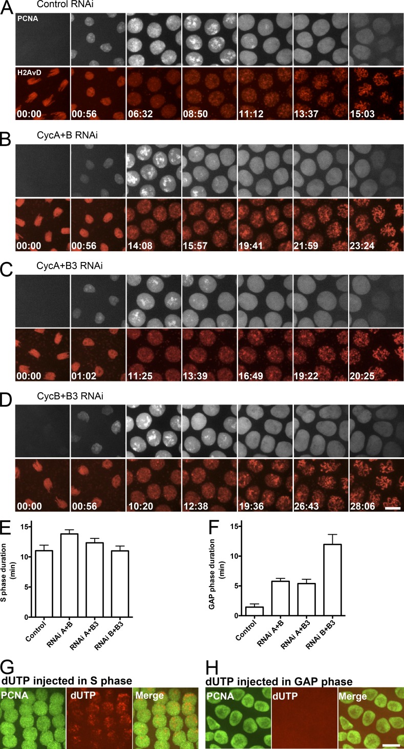 Figure 3.