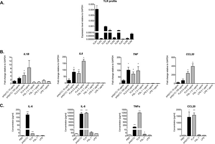 FIG 3