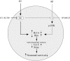 Figure 10.