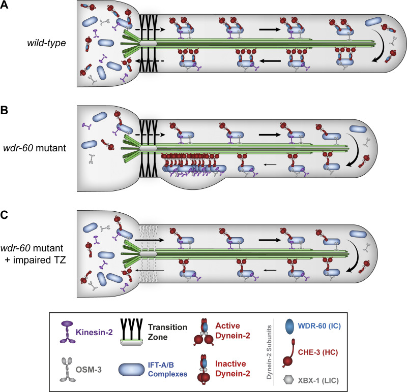 Figure 10.