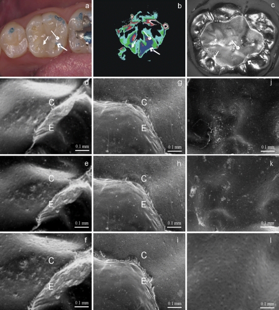 Fig. 7