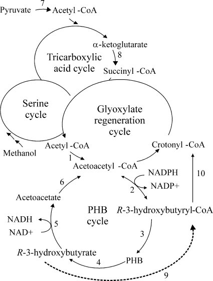 FIG. 1.