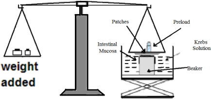 Fig. 1.