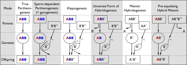 Figure 1.