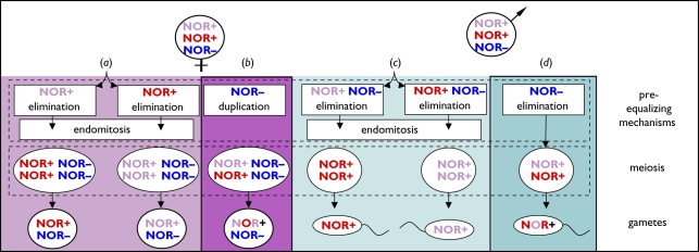 Figure 2.