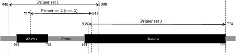 Figure 1.