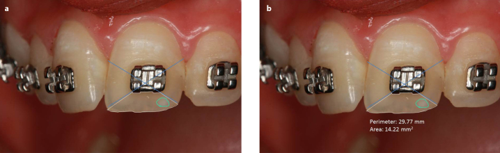 Figure 2. a, b