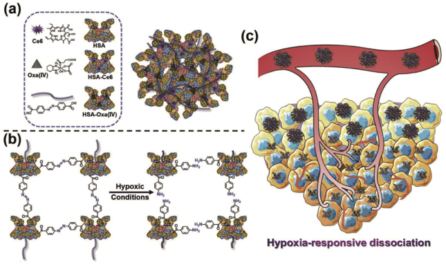 Figure 10