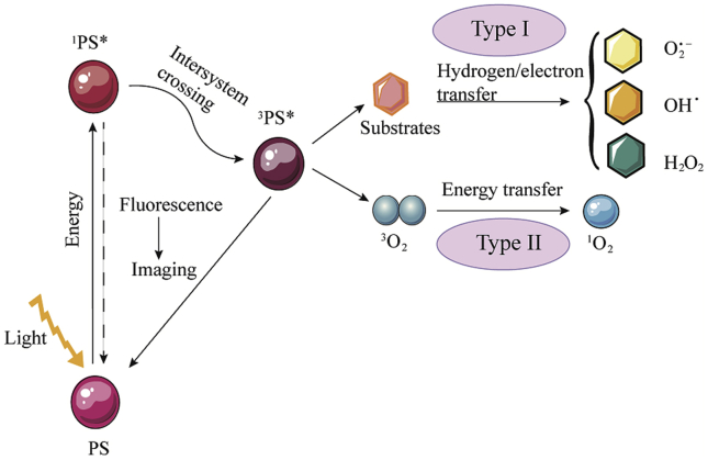 Figure 1