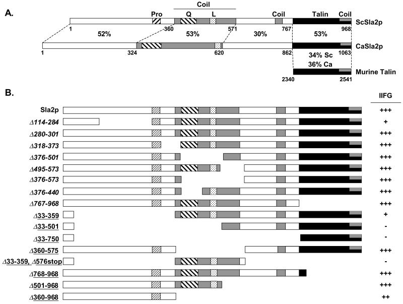 FIG. 6