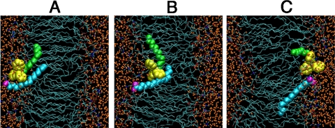 Fig. 2.