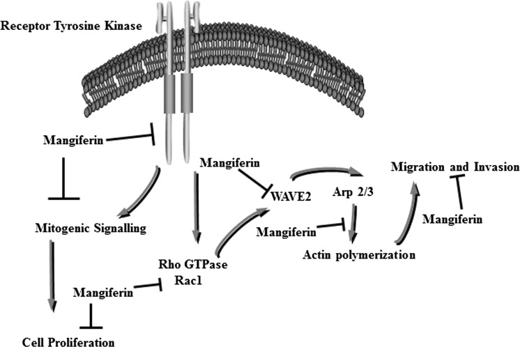 Fig. 5