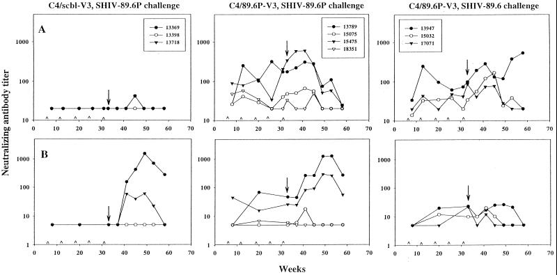 FIG. 3