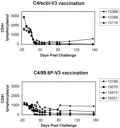 FIG. 7