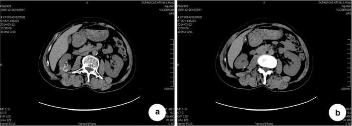 Fig. 4