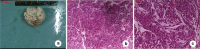 Fig. 3