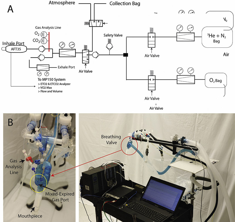 Figure 2)