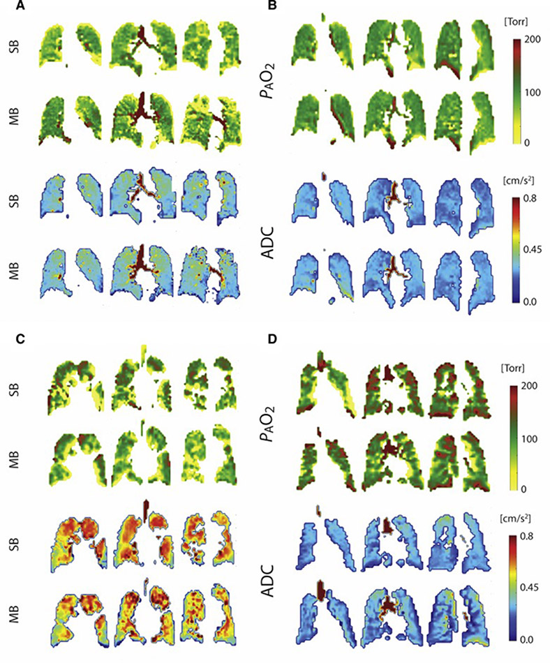 Figure 5)