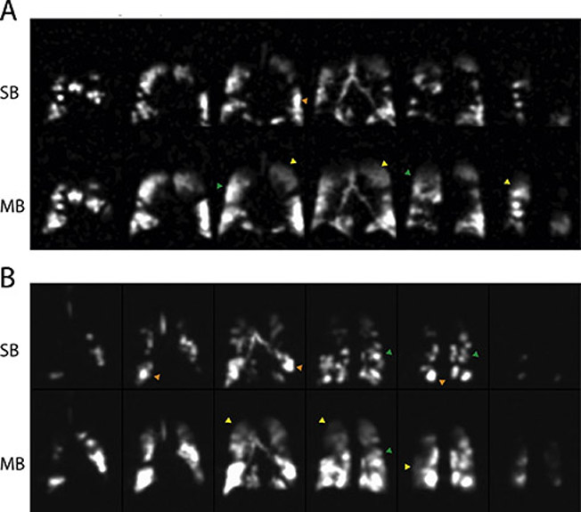 Figure 3)