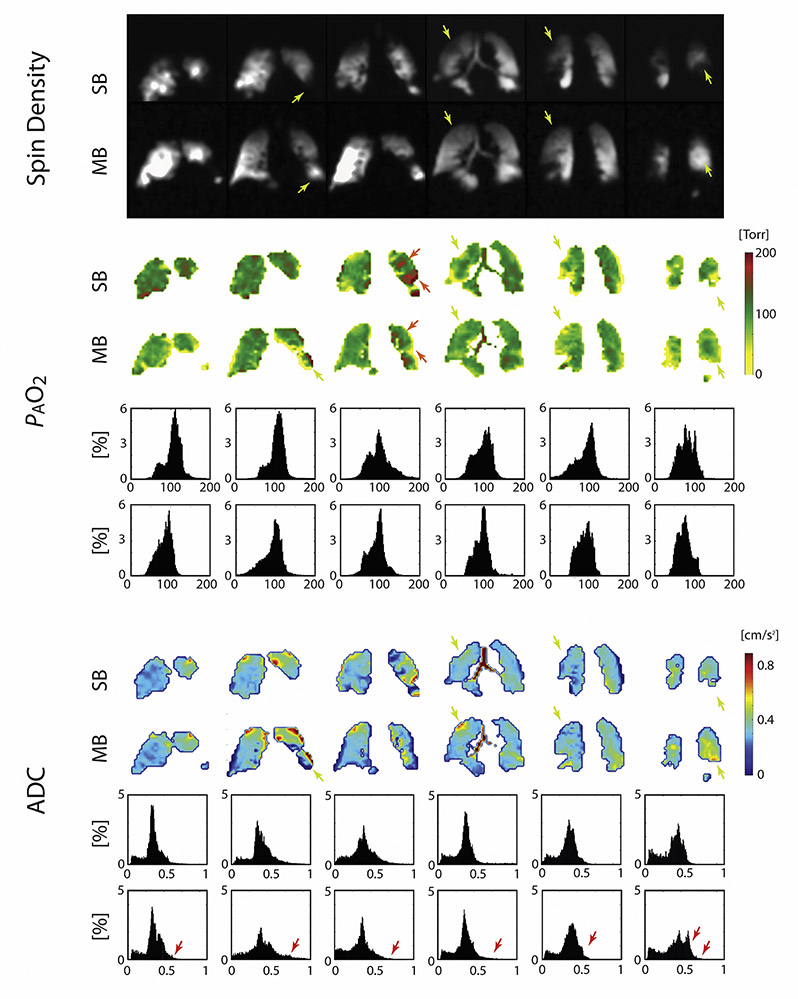 Figure 4)