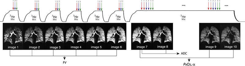 Figure 1)