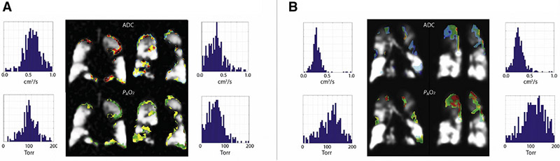 Figure 7)