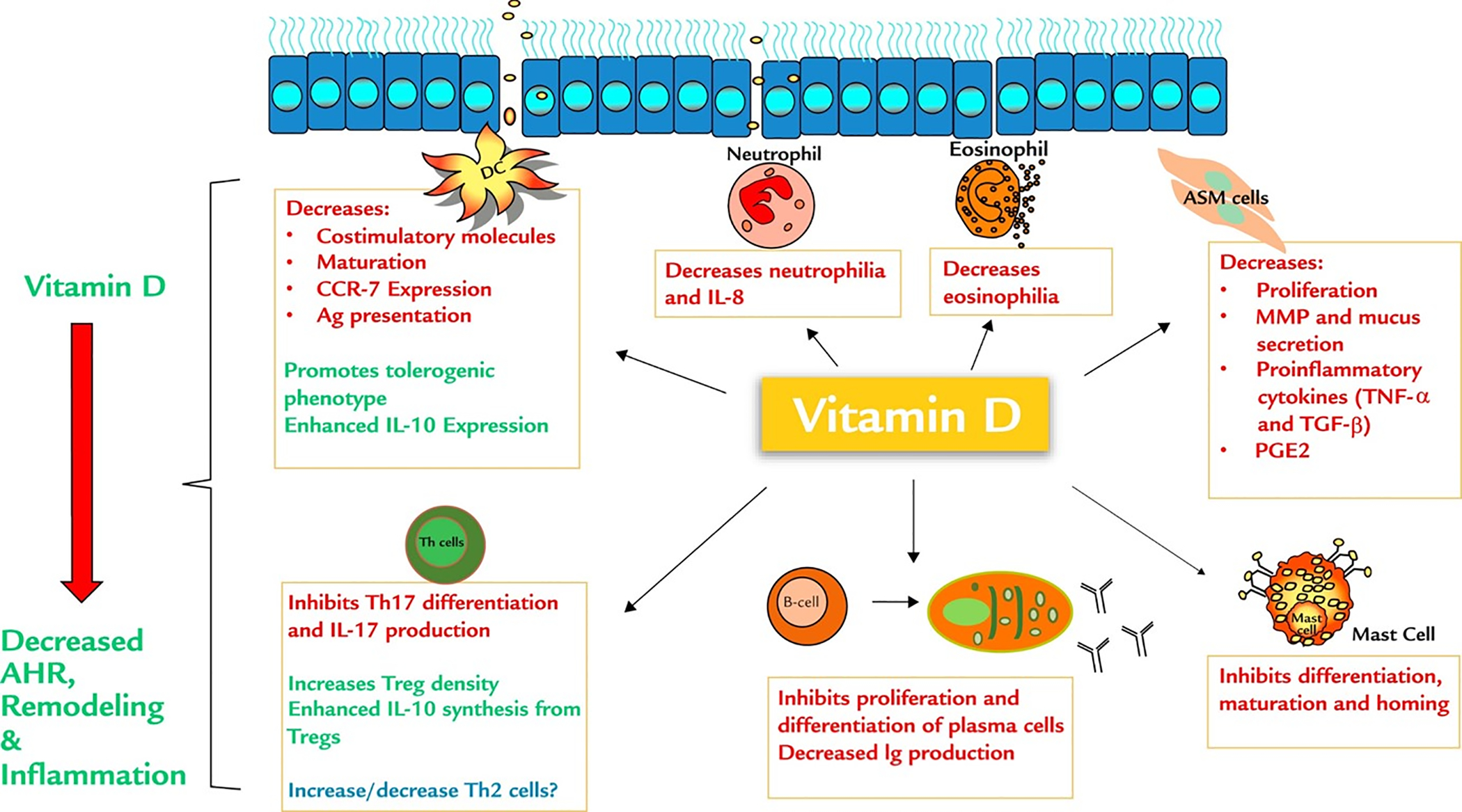 Figure 4: