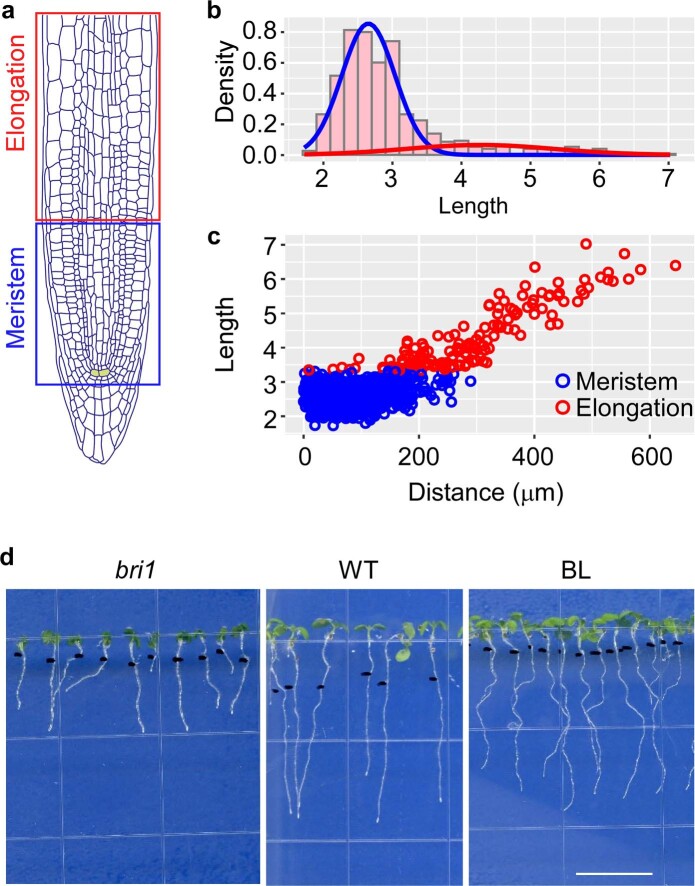 Extended Data Fig. 1