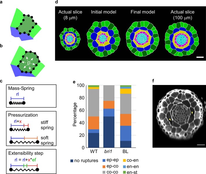 Extended Data Fig. 6