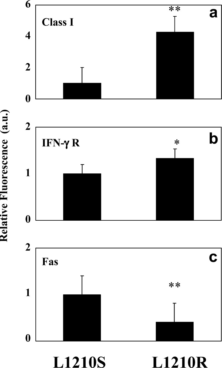 Fig. 4