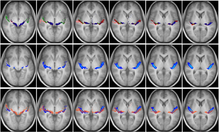 Fig. 7