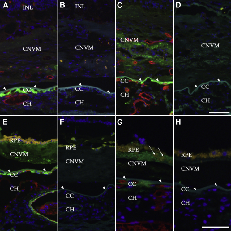 Figure 5