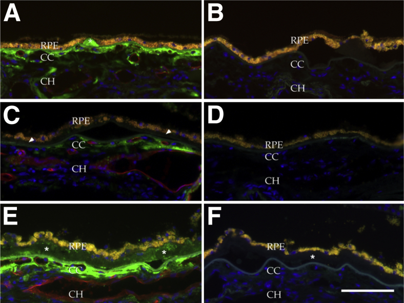 Figure 3