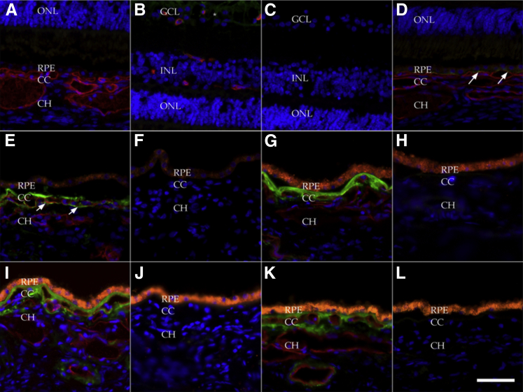 Figure 2