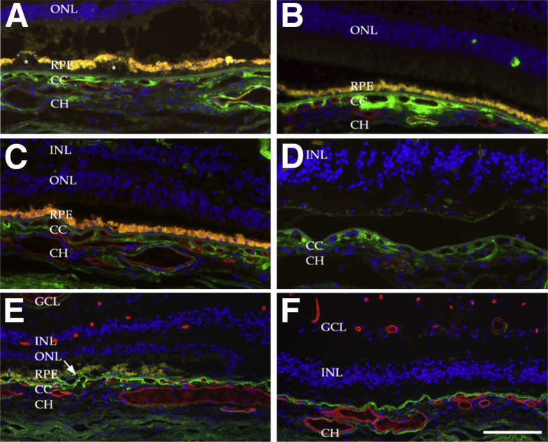 Figure 4