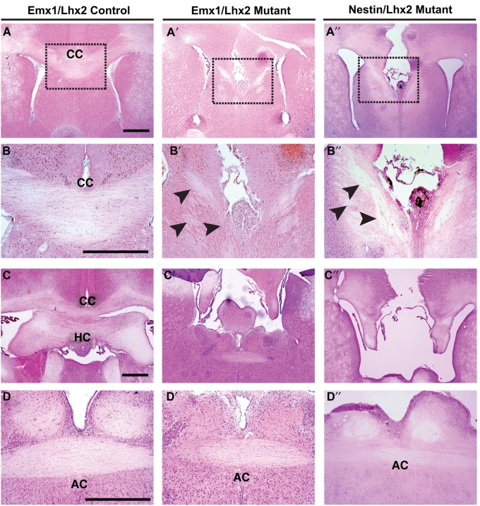 Figure 1.