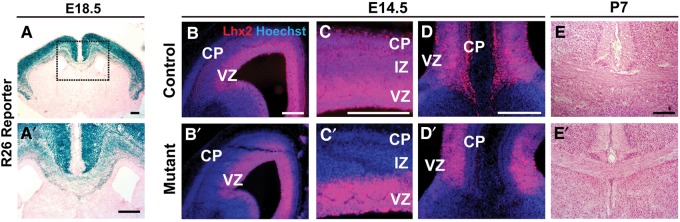 Figure 4.