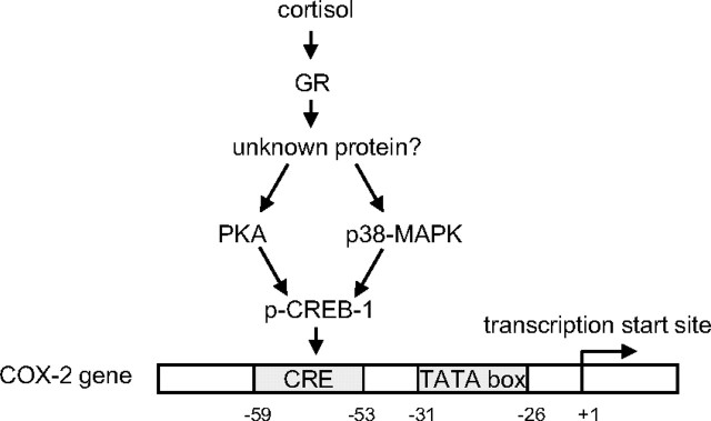 Fig. 12.