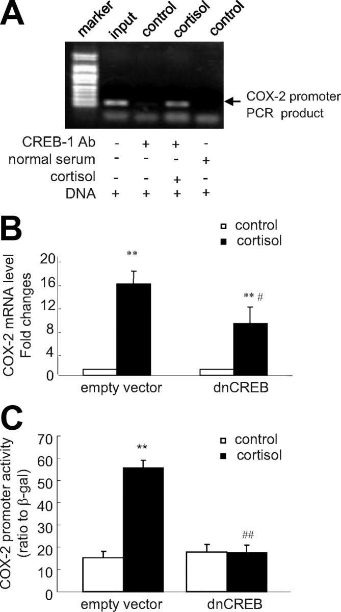 Fig. 11.