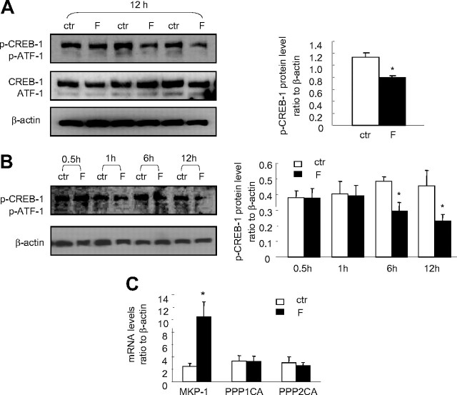 Fig. 10.