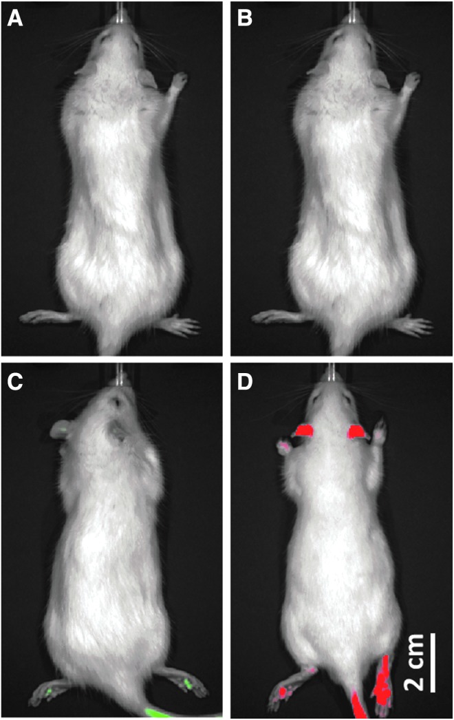 FIG. 3.