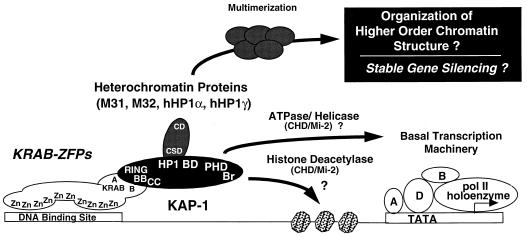 FIG. 12