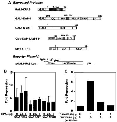 FIG. 10