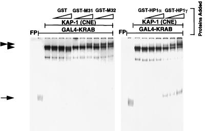 FIG. 6