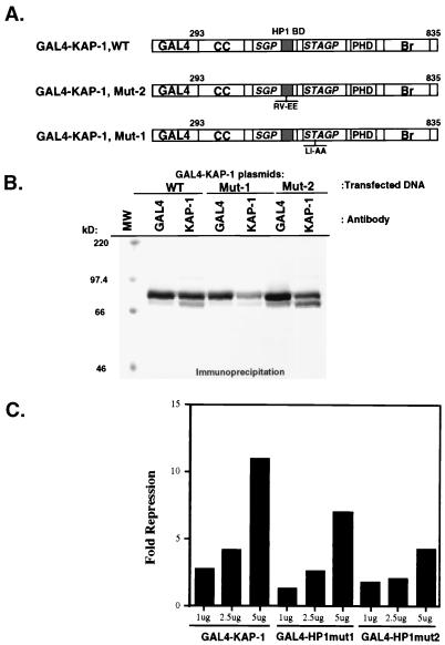 FIG. 11