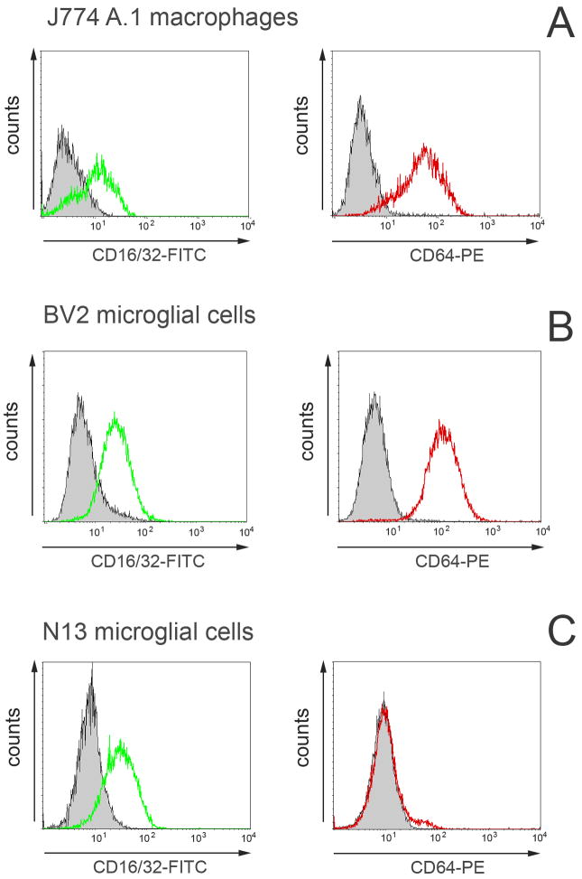 Fig.2