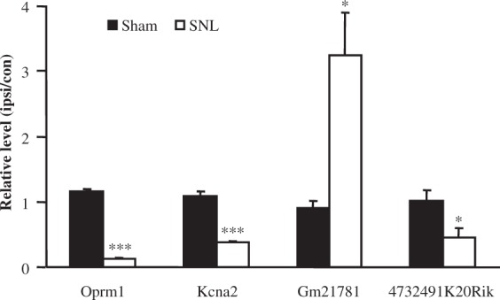 Figure 5.