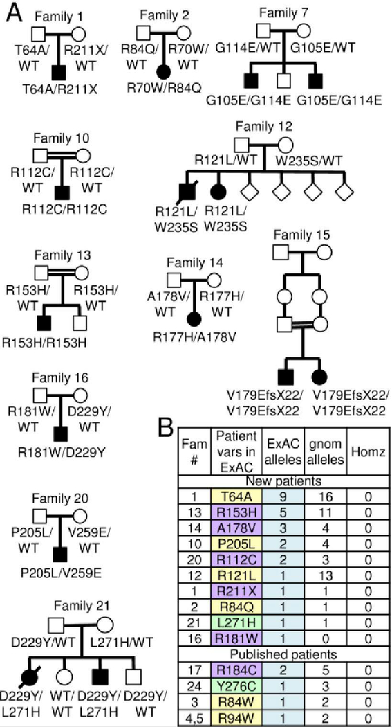 Fig 3.